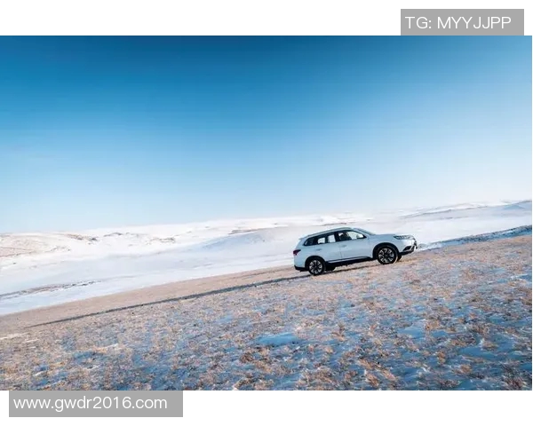 欧蓝德:从足球场到全球舞台的传奇之路与不凡成就